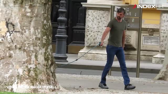 Ivanišević u šetnji s psom