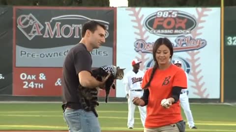 Hero Cat Takes The Mound