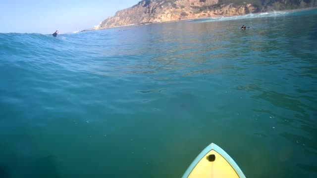 Never Turn Your Back On The Ocean!