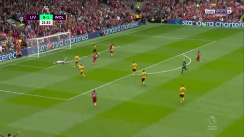 التعادل ليفر