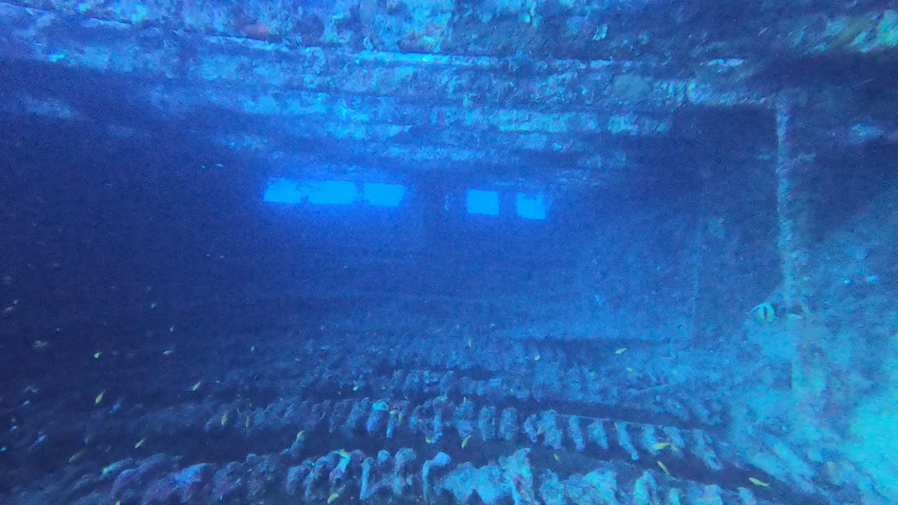 Red Sea SCUBA Diving - Wreck swimthrough