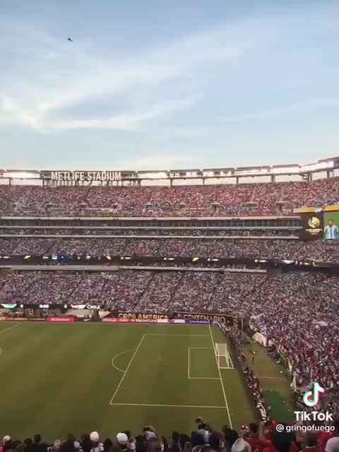 More Lets go Brandon