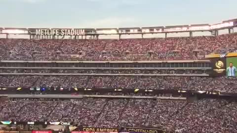 More Lets go Brandon