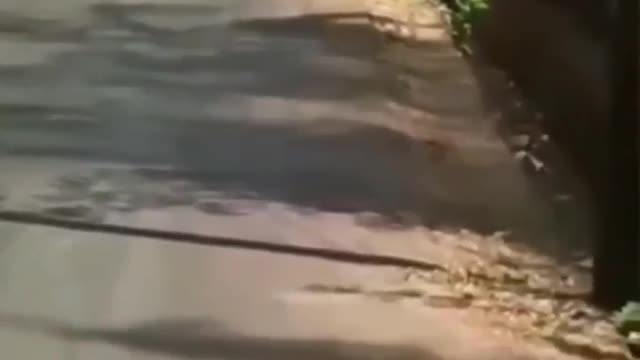 Please 1k views, 😳😳