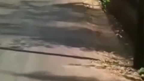 Please 1k views, 😳😳