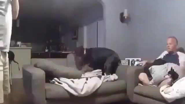 It was an accident 😨