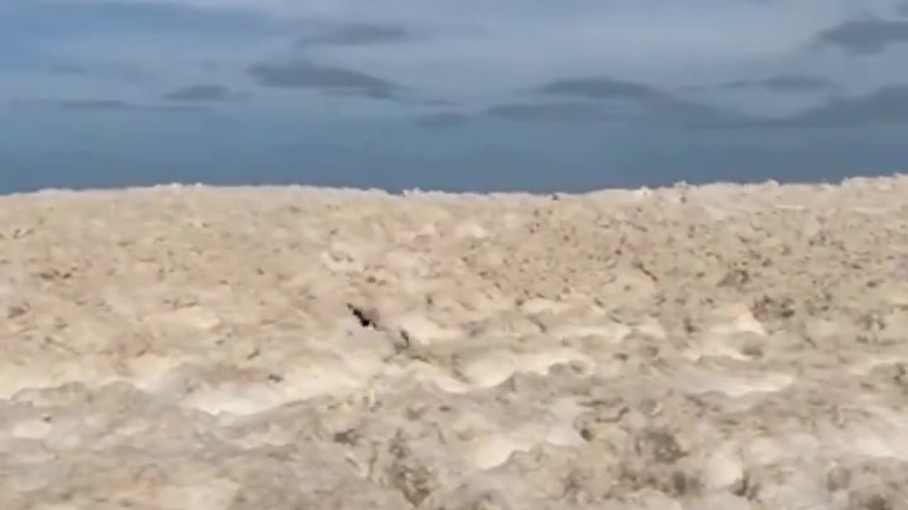 Foam Beach