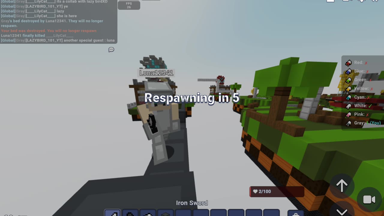 Bedwars (ft @StarLilyXDGaming)