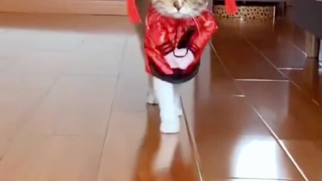 legendary catwalk