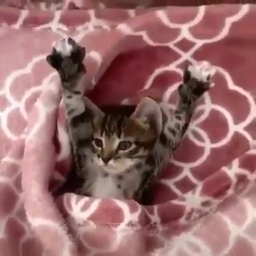 Me all the time waking up in this little time 🥰🥰🥰