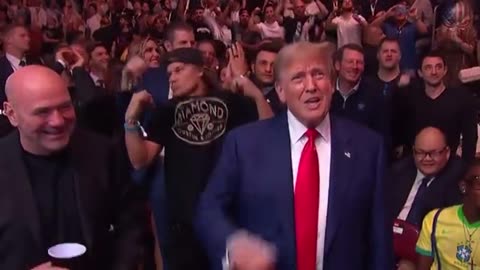 trump at ufc 302