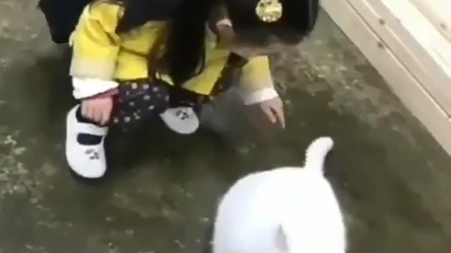 Little Kid playing with Her Cat's Tail