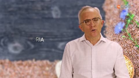 LA SEMILLA DEL LINO