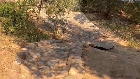 This is a curved stone road