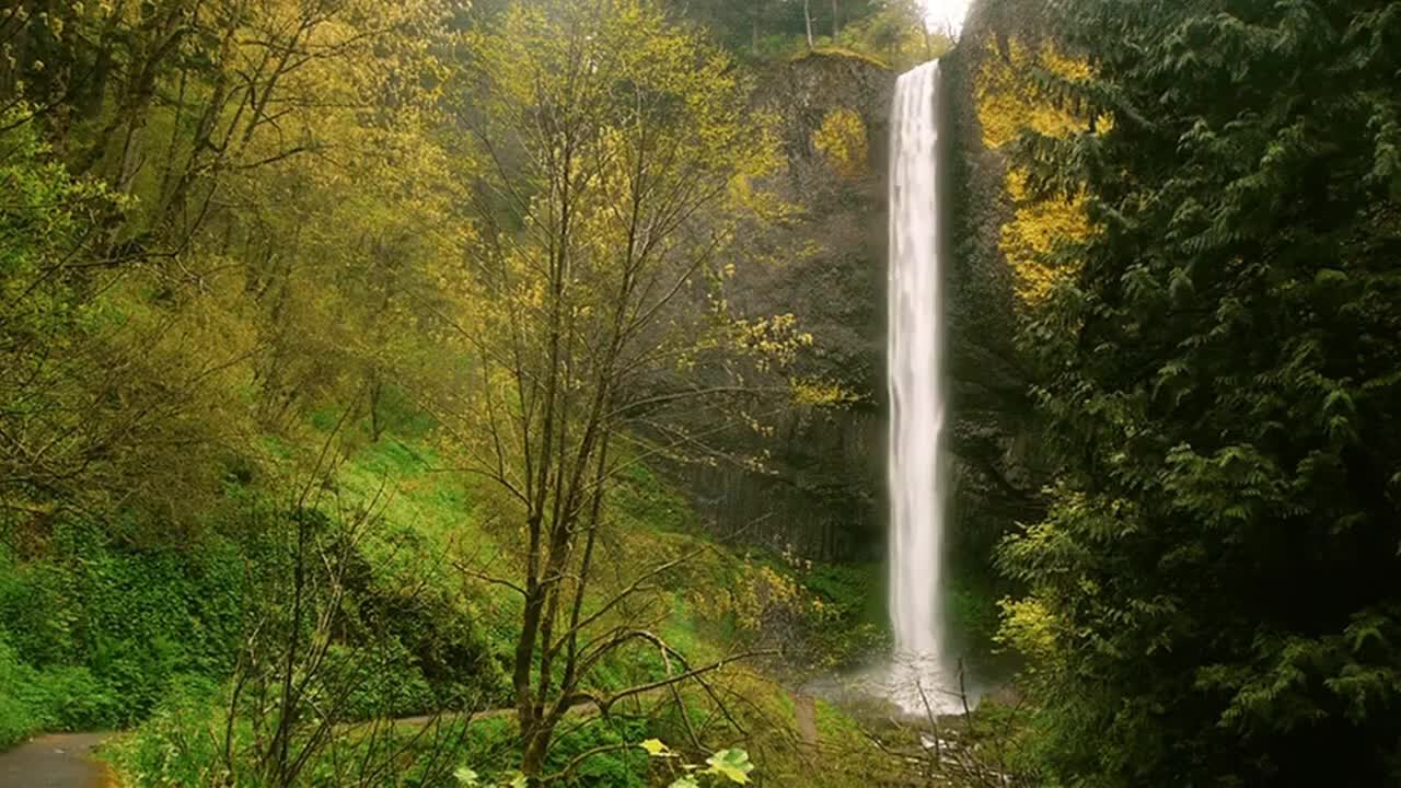 Relaxing Music, Spa Music, Calming Music, Massage Music, Meditation Music, Zen, Sleep Music