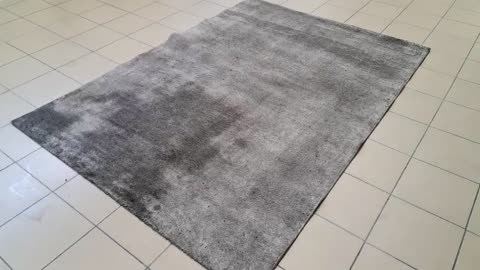 Satisfying effect of washing dirty carpet Speeded Up