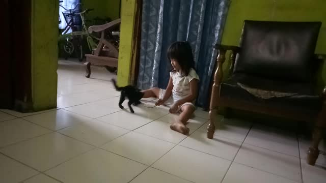 Kitten play with little girl - what happen next will shock you