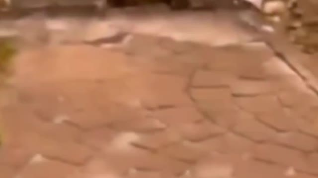 funny and interesting