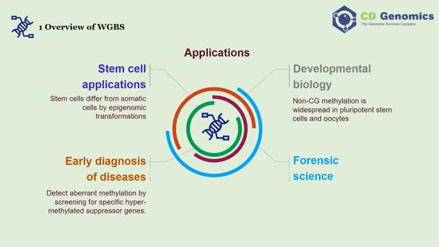 Principle and Workflow of Whole Genome Bisulfite Sequencing - CD Genomics