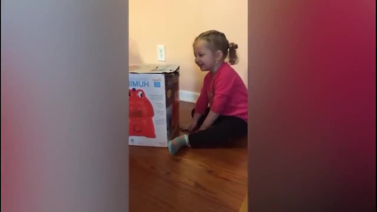 Cat Video Compilation