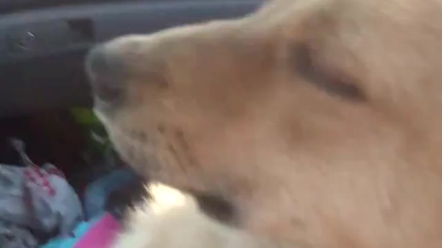 Falling asleep