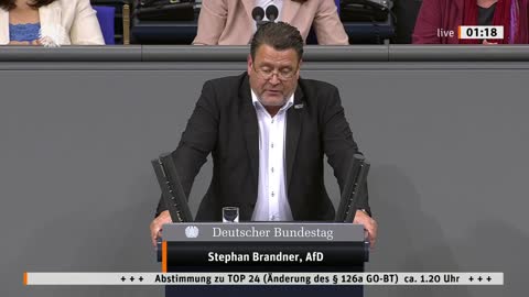 Stephan Brandner Rede vom 08.07.2022 (2) - Änderung des § 126a GO-BT