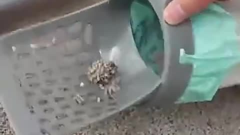 Cat Litter Scoop with Bags