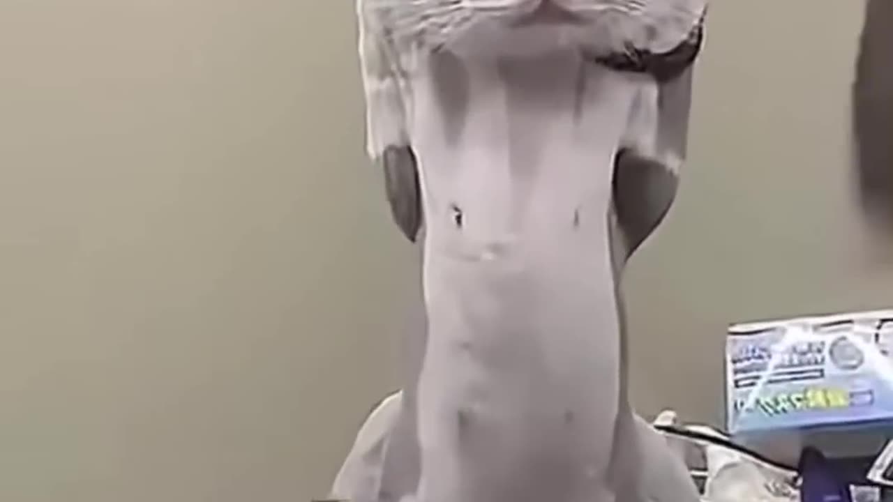 Laugh out I hearts short video
