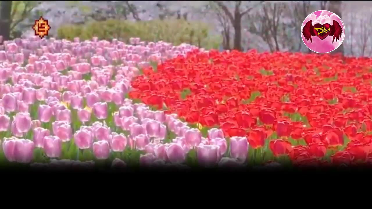 5- شاب غير ملتزم دينيا يمر بتجربة جميلة ويرى جدته في العالم الآخر
