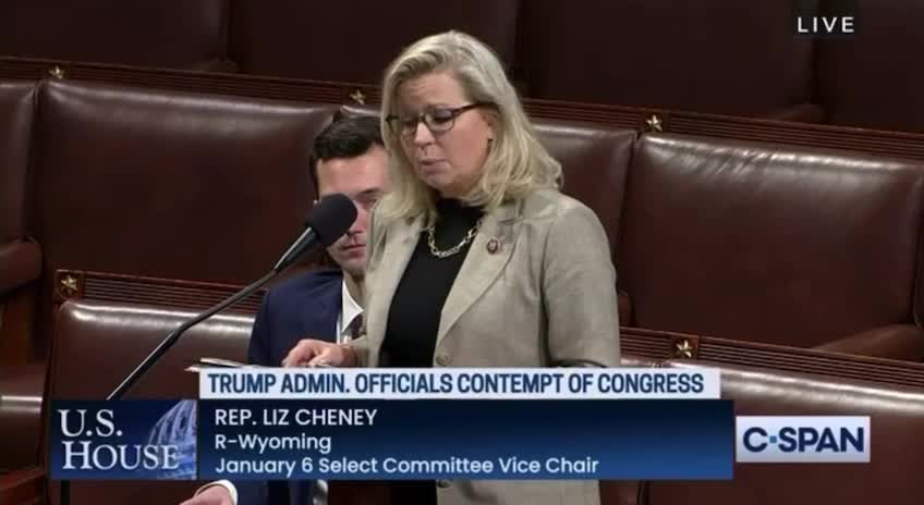 Liz Cheney: Yes, it was a false story & a big lie