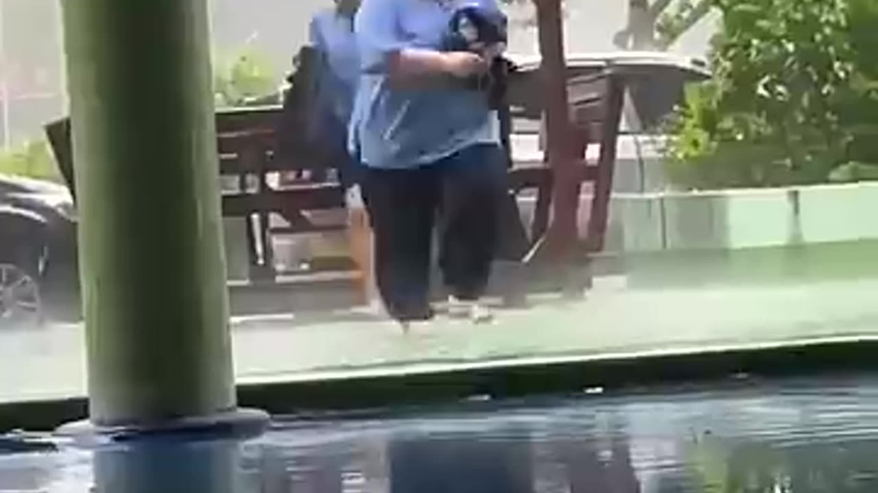 Funny videos