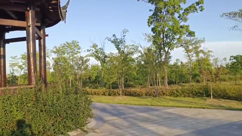 Grandpa's Private Park Gazebo