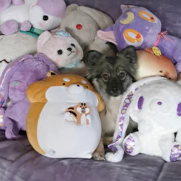 Expertly camouflaged puppy hides in amongst soft toys