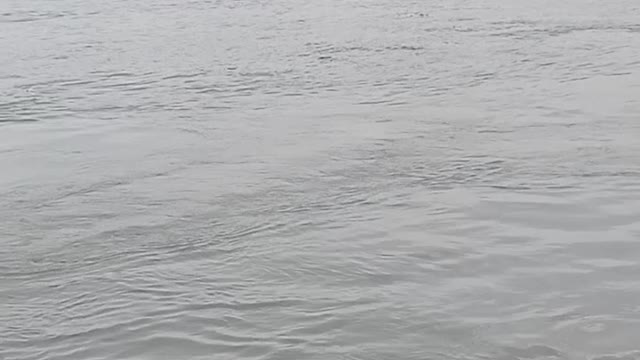 See how many people are in a boat