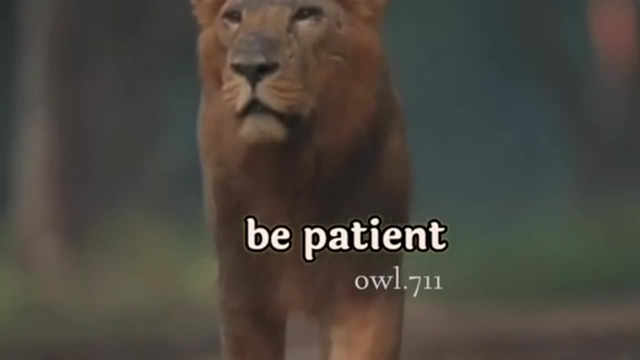 Motivational quote