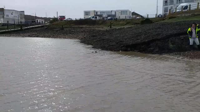 Trapped Seal Rescued after Flood Stream Bursts its Banks