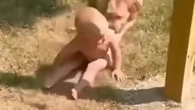 Cute baby fanny video 🤣, Dog and cute baby fanny video,