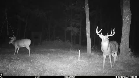 October 12th bucks at blind