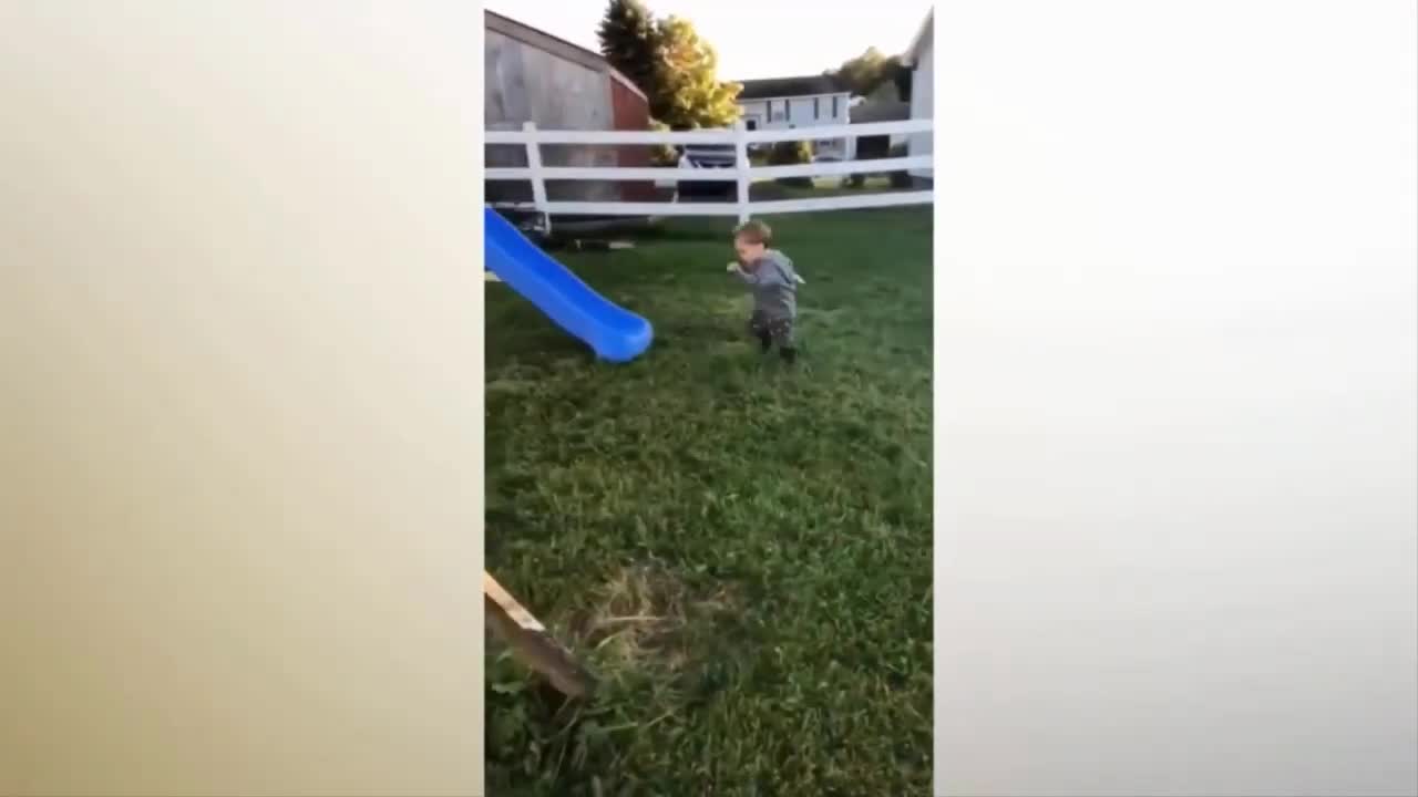 Baby attack by dog and another baby smash his head