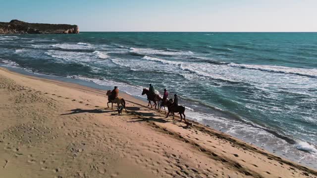 Epic Drone Shot of Horses on The Beach