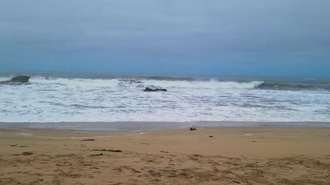 Early Morning Walk To The Beach at Ritz-Carlton Half Moon Bay