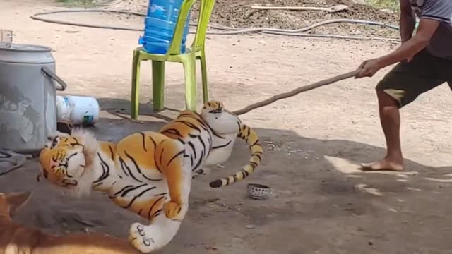 Dog Gets Pranked By Fake Tiger