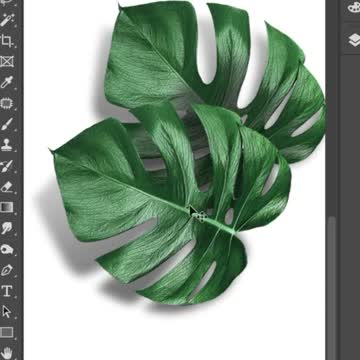 Creating drop shadows in Photoshop | Learn Photoshop