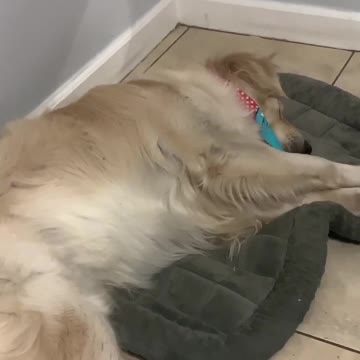 Quarantine got me doin weird stuff...how bout y’all?