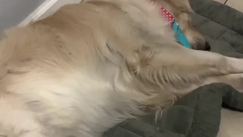 Quarantine got me doin weird stuff...how bout y’all?