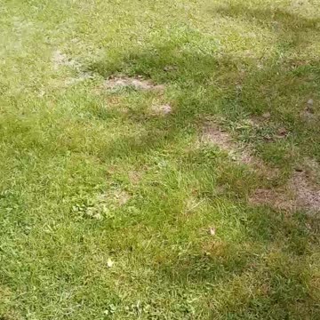 Woman refused to pay me for cutting her grass