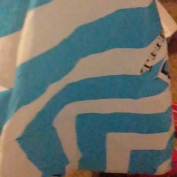 How to catch Emma the Cat.