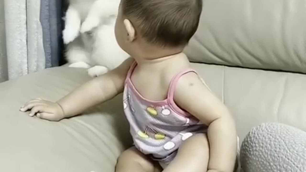 Puppy adorably sleeps on the couch , cute cat ,kids cartoon ,