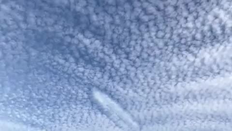 alien skies Florida