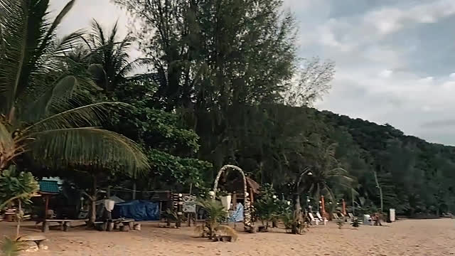 The tree of the sea